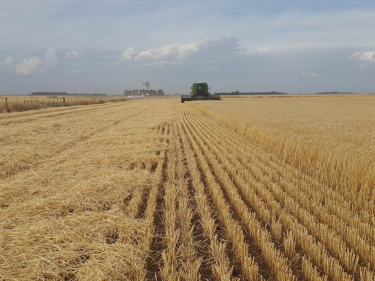 A bustling local venue where fans gather to watch boxing events, demonstrating the community's enthusiasm and support for the sport